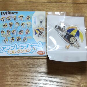 ハイキュー!! アンブレラチャームコレクション 澤村大地 ジャンプショップ アクリルキーホルダー