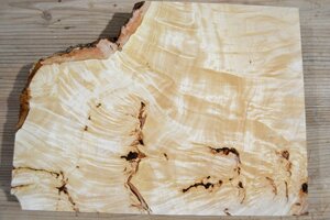 長33*幅7-23*厚1.6　トチ54の木材木工材,一枚板DIY銘木花台　　プレート栃