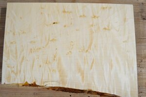 長33*幅20-23*厚1.5　トチ14の木材木工材,一枚板DIY銘木花台　　プレート　栃