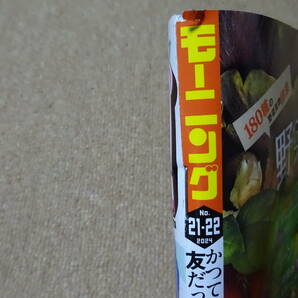 週刊モーニング2024年NO.21，22合併号 最新号 定価450円 中古品 送料185円 即決ありの画像4