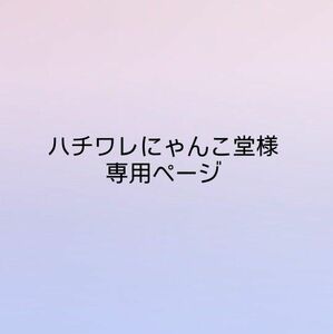 ハチワレにゃんこ堂様専用ページ