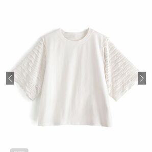 GRL グレイル フリルスリーブTシャツ フリル 半袖 Tシャツ シアー クルーネック 白 ホワイト 淡色 新品未使用 タグ付き