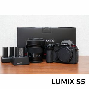 【美品】LUMIX ミラーレス一眼カメラ LUMIX DC-S5 標準ズームレンズキット DC-S5K-K ＋ バッテリー予備