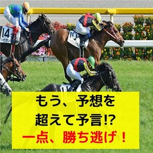 競馬【ワイド１点買い予想法】勝ち逃げて資金づくり『初心者は的中率80％、回収率130％から』期待以上の一点 馬券術★セール9800円→1880円