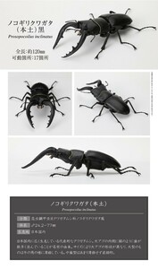 いきもの大図鑑 くわがた06 ノコギリクワガタ 本土 黒 ブラック くわがた ０６ クワガタ 昆虫 動物 生物 フィギュア バンダイ 新品未開封