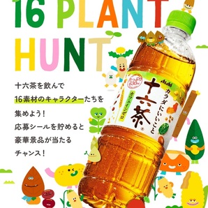 アサヒ 十六茶 16PLANT HUNT キャンペーン 応募シール 110枚の画像2