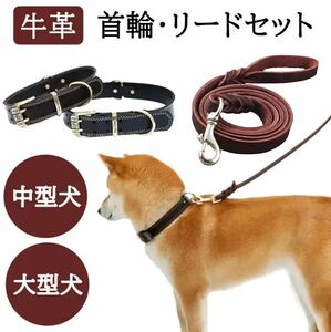 犬リード　犬首輪　首輪リードセット　大型犬首輪　中型犬首輪　大型犬リード　中型犬リード