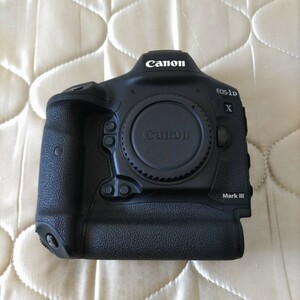  Canon EOS-1D X Mark III キヤノン 1DX Markⅲ シャッター回数45000以下 バッテリー2本付き(劣化無し)