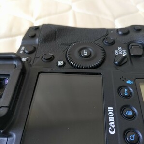  Canon EOS-1D X Mark III キヤノン 1DX Markⅲ シャッター回数45000以下 バッテリー2本付き(劣化無し)の画像6
