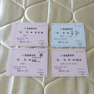 JR北海道 室蘭本線 母恋駅 常備乗車券 常備券