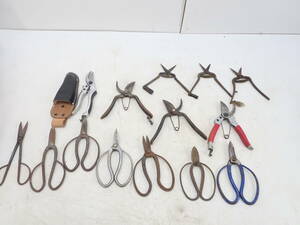  scissors tongs . pruning .. natural flower . present condition Junk /ka24 240405