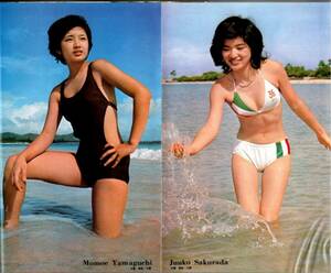 S3476 ordinary 1975 year Showa era 50 year swimsuit bikini Yamaguchi Momoe Sakura rice field .... woman love Agnes Chan Asano Yuko one-side flat ... tree . inside ... Okada Nana Candies 