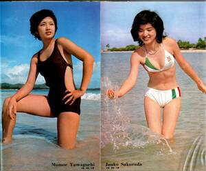 S3476 平凡 1975年 昭和50年水着ビキニ山口百恵 桜田淳子 早乙女愛アグネスチャン浅野ゆう子片平なぎさ木之内みどり岡田奈々キャンディーズ