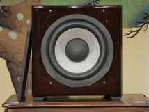 【良品】フォステクス　CW ２５０A　サブウーハー Sub Woofer（完動品）_画像1