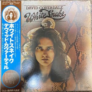 【厳選LP】 帯付国内初版 ホワイトスネイク /デヴィッド・カヴァーディル MWF 1027 DAVID COVERDALE WHITESNAKE ディープパープル