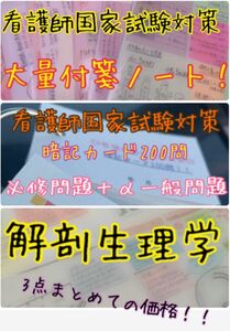 お友達と一緒に♪2セットまとめ価格！看護師国家試験対策 大量付箋 暗記カード 解剖生理学 付箋ノート