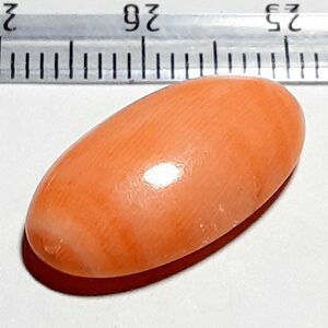 6060 　発色綺麗　 天然サンゴ　珊瑚 ルース