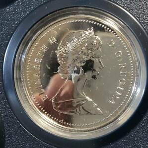Royal Canadian Mint 1987年 ケース入り ミントコイン カナダ 大きな写真あり 1円の画像5