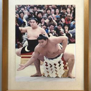 貴乃花 若乃花 土俵入り 額入り 530グラム 1円の画像2