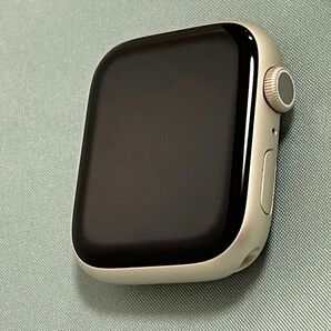 Apple Watch Series 7 45mm ＋ NOMAD バンド