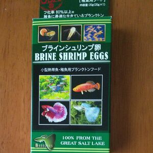 ブラインシュリンプ卵