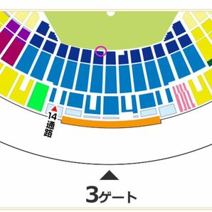 【バックネット裏最前列】4/20(土) ホークスvsオリックスの画像2