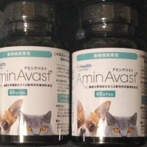 Amin Avast アミンアバスト300mg 60カプセル 犬猫用 サプリメント 2個