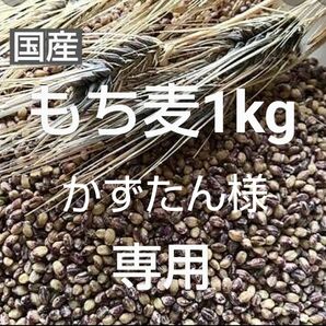 もち麦1kg