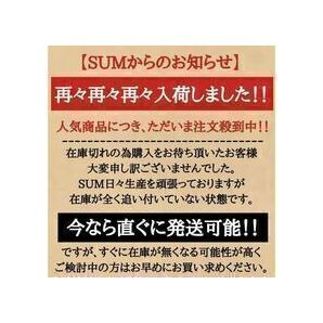 オムロン ロングライフパッド HV-LLPAD用 低周波治療器 粘着パッド2組4枚 オムロン製にそのまま使える互換製品 OMRON エレパルスにの画像2