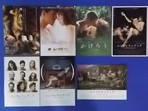 映画チラシ　外国セクシー系28作品31種　永遠女優・新O嬢の物語・ティントプラス白日夢・二ンフォマニアック・桃色画法・エマニエル婦人_画像4