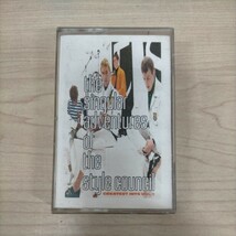 the singular adventures of the style council スタイル・カウンシル ◎中古/再生未確認/ノークレームで/現状渡し/ベスト盤_画像1