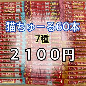 猫　おやつ　ごはん　いなば　チャオ　CIAO ちゅーる　グルメ　総合栄養食