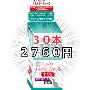 猫　おやつ　いなば　チャオ　CIAO ちゅーる　エネルギー　乳酸菌　まぐろ　pHコントロール　動物病院専用