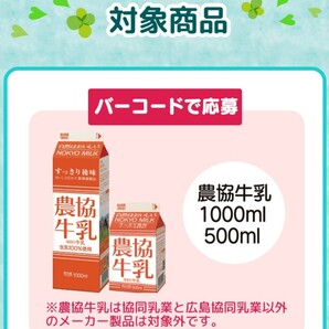 懸賞 応募★2枚バーコード★農協牛乳★春の農協シリーズキャンペーン2024★上州和牛バラ焼肉用500g★山梨の桃1.5kg★JA★数量3の画像3