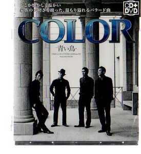 C2494・COLOR／青い鳥（CD＋DVD）