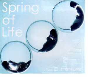 C2020・Perfume／Spring of Life (初回盤 DVD付