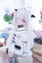 【ちゆ】DDH-01カスタムヘッド SW肌ソフビ盛り+アイ4種　- 難あり -_画像8