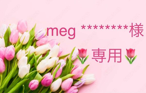 meg ********様 専用！☆特別出品☆スワロ廃盤激レア含#8901・6色セット/#5301サン/#8115.8116他