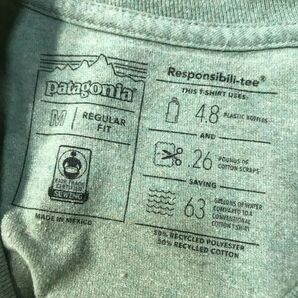 《良品◎》Patagonia パタゴニア★メキシコ製*バッグプリント*Tシャツ*トラウト*カットソー*ピスタチオグリーン*サイズM(MS2740)◆S60の画像6