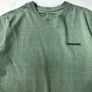 《良品◎》Patagonia パタゴニア★メキシコ製*バッグプリント*Tシャツ*トラウト*カットソー*ピスタチオグリーン*サイズM(MS2740)◆S60の画像3