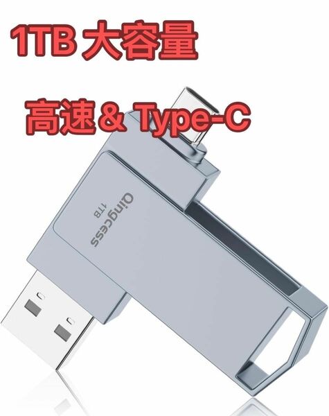 1TB 大容量 USBメモリ 2IN1 大容量 高速＆Type-C メモリー