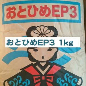 日清丸紅飼料 おとひめEP3 1kg ※送料無料※