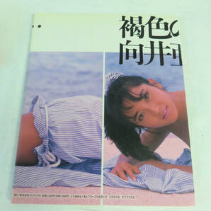 【写真集】褐色のままで 向井亜紀 谷口征 ワニブックス 1990年10月 増刷の画像2