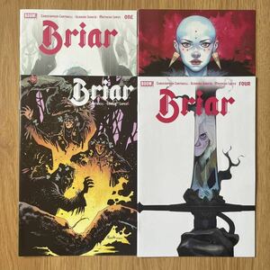 Briar #1-4 アメコミリーフ 4冊セット Sleeping Beauty 眠れる森の美女 マーベル Boom! Studios marvel dc comics 原書 漫画 英語 洋書