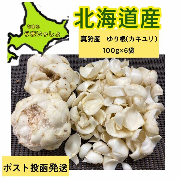 北海道2024年　期間限定【熟成されました。真狩産ゆり根〔カキユリ〕100g×6袋】ポスト投函発送