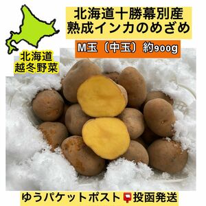 北海道2024年【熟成されました。十勝幕別産濃い味インカのめざめM玉〔扱いやすい玉〕】約900g ポスト投函発送