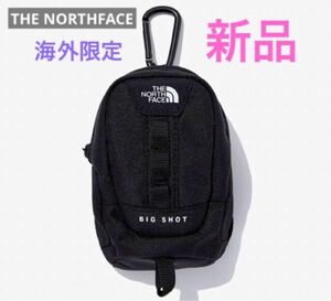 THE NORTHFACE ノースフェイス ミニビッグショットポーチ 海外限定　