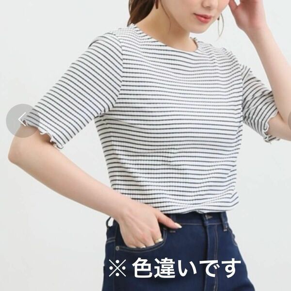 半袖テレコメロー使いＴシャツ　紫　パープル　ハニーズ　ボーダー