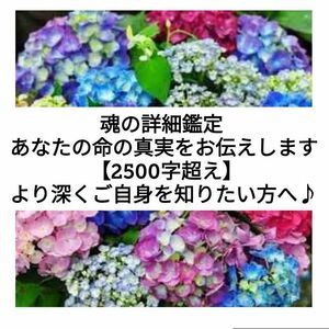 魂の詳細鑑定 あなたの命の真実をお伝えします 【2500字超え】より深くご自身を知りたい方へ♪