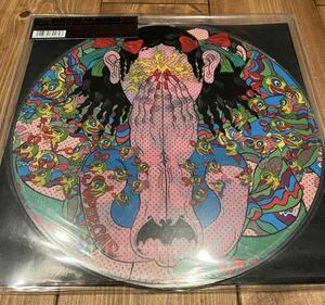 スーパーカー　ANSEWR ピクチャー盤2LP レア